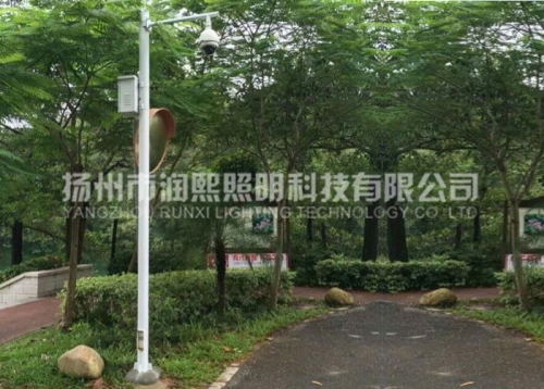 91短视频在线免费播放